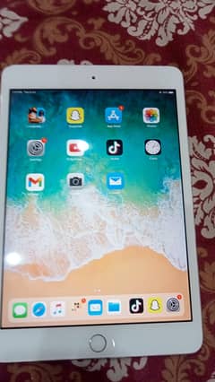 iPad mini 3