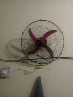 fan