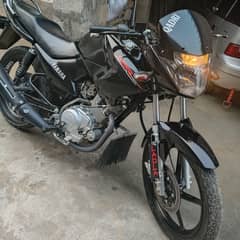 Yamaha ybr