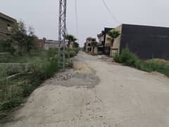 Zamar