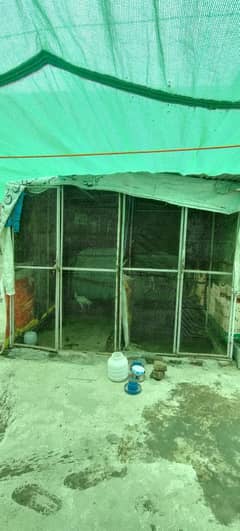 2 portion cage