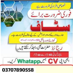 health care institute