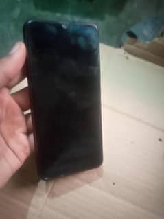 vivo.