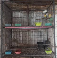Folding Cage and Angle cage