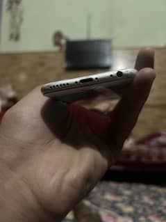 iPhone 6 PTA official