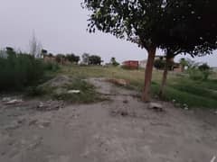 Zamar