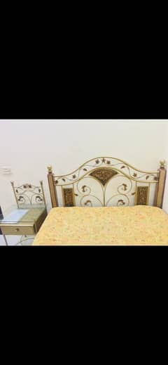 METALLIC BEAUTIFUL BED