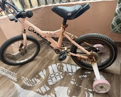 kids bycycle with side wheels ready to ride