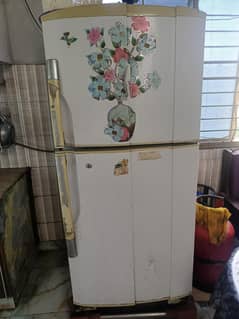 Pell fridge large size  condition 10/8