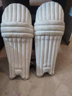 Cricket pads suitable for 10- 12 year old
