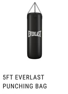 punching bag