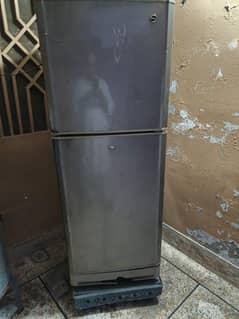 PEL