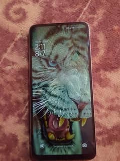 redmi c13