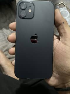 Iphone 12 64gb non (jv)