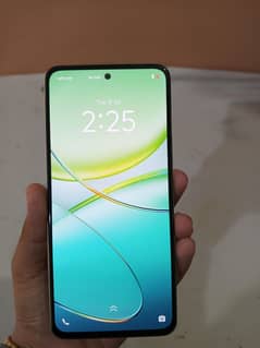 vivo