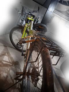 Bicycle