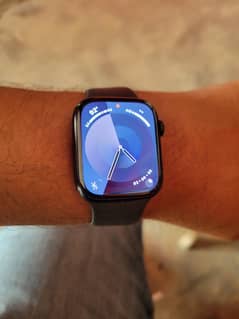 Apple Watch 8 Series /45mm/Stainless Steel