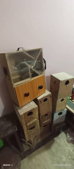 briding box end seed clenar