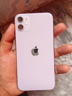 Apple 11