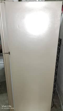 my add freezers