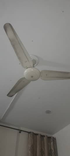 SK brand Company Ceilling Fan