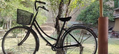 Japani cycle for sale 03361450902