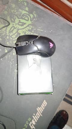 razer viper mini