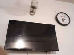 LED for sale
