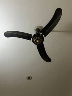 Celling