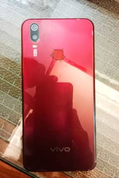 Vivo