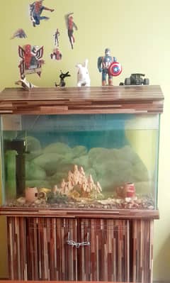 Aquarium