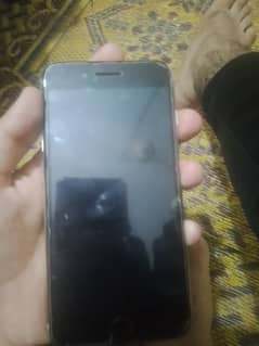 8 plus Non Pta