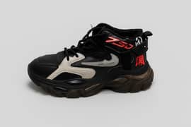 Chinese shoes