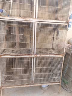 aseel murga murgi Pyar do pinjre urgent sale