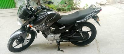 Yamaha