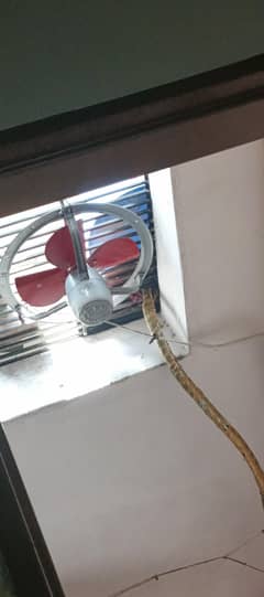 like new