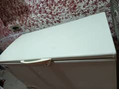waves deep freezer single door