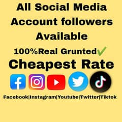 All Social Media followers Available