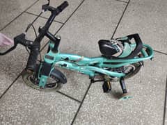 Morgan cycle
