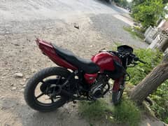 Ybr