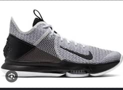 Nike LeBron witness 4 grey