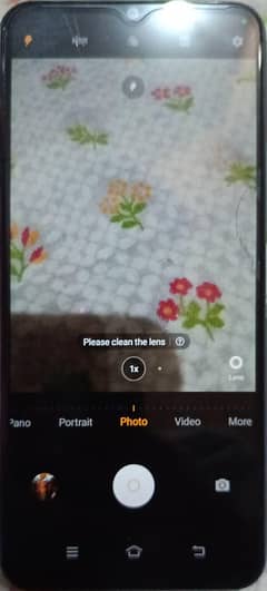 vivo