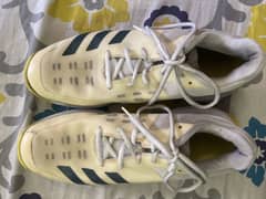 Addidas Cricket Spike shoes