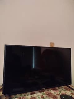 Orietn LED For Sale