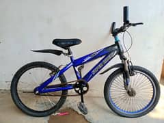 Super rider 20 size cycle