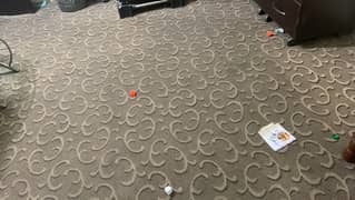 17*12 size thick Carpet