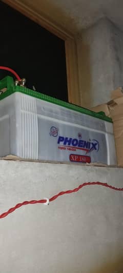phonenix