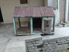 hen cage for sale