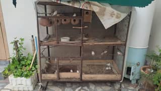 Setup for sale