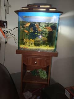 Aqarium available for sale with fishes